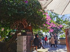 -海韵人家.海景花园经典云南菜(双廊店)
