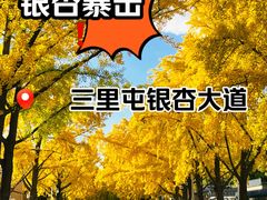 -三里屯东五街银杏大道