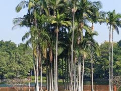 -荔湾湖公园