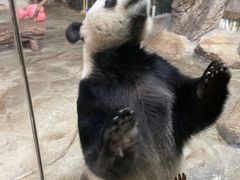 -海南热带野生动植物园