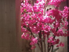 -刀板香·安徽菜(望江东路店)