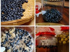 -金谷域澳洲庄园