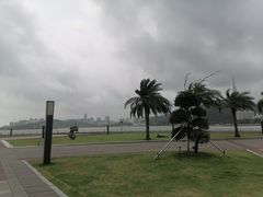 -野狸岛