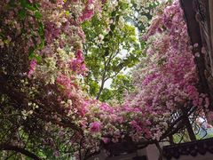 -深圳国际园林花卉博览园