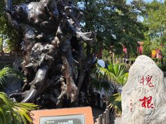 -大槐树寻根祭祖园