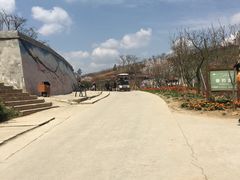 -绵阳盛世樱花悠乐谷