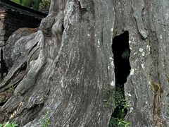-云中大漈
