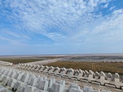 -南汇嘴观海公园