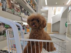 -comecome来吧宠物(奥克斯中心店)