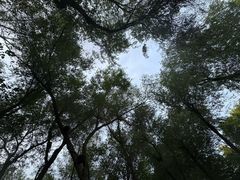 -红山公园