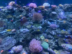 -锦艺城海洋馆