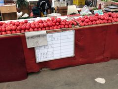 -韩家墅海吉星农产品批发市场