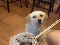 -元氏钵仔糕(北京路店)