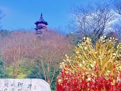 -牛首山文化旅游区