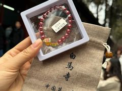 -洛阳白马寺