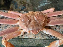 -广东嘉华大酒店·季花铁板烧餐厅