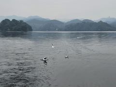 -三岔湖景区