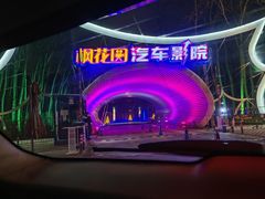-枫花园汽车电影院(朝阳公园店)