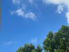 -上海明天广场JW万豪酒店