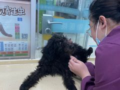 -乖乖乐动物医院(小汤山分院)