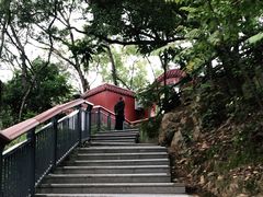 -金鸡山公园