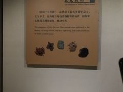 -南越王博物院(王宫展区)