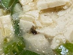 -老城豆腐汤(伊水路店)