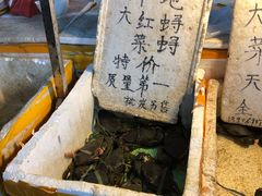 -华威西营里农产品批发市场