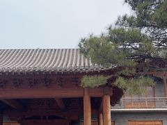-爱新觉罗皇家博物院