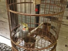 -小厨娘淮扬菜(六合欢乐港店)