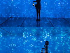 -江和美海洋公园