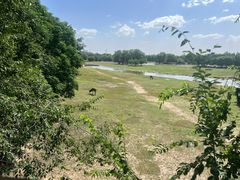 -北京麋鹿生态实验中心