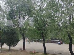 -清东陵