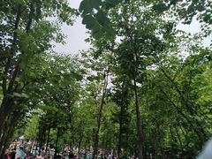-黄龙溪欢乐田园