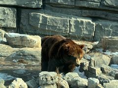 -北京野生动物园