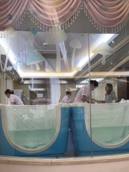 点击看大图 -维倪月子会所(独栋庭院·南海店)
