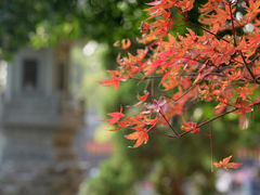-龙华寺