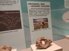 -珠海市博物馆