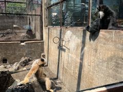 -昆明动物园