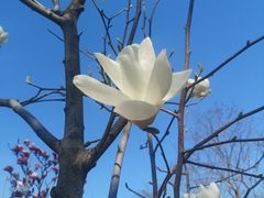 -大连植物园