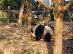 -青岛动物园