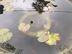-亦缘居私家别院
