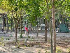 -西青郊野公园