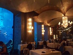 -迪拜帆船酒店海底餐厅