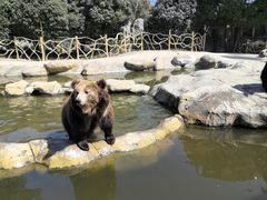 -常州淹城野生动物世界