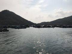 -南丫岛