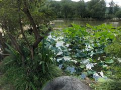 -杭州六谷生态休闲农庄有限公司