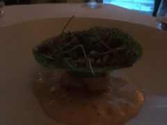 -迪拜帆船酒店海底餐厅