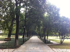 60-南京特殊教育师范学院(燕子矶校区)