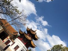 -翠湖公园